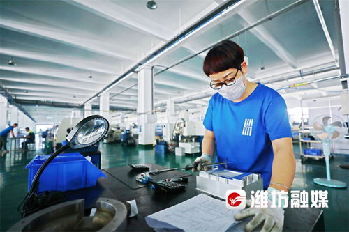 濰坊企業家榮膺歐洲自然科學院院士，技術創新引領產業發展